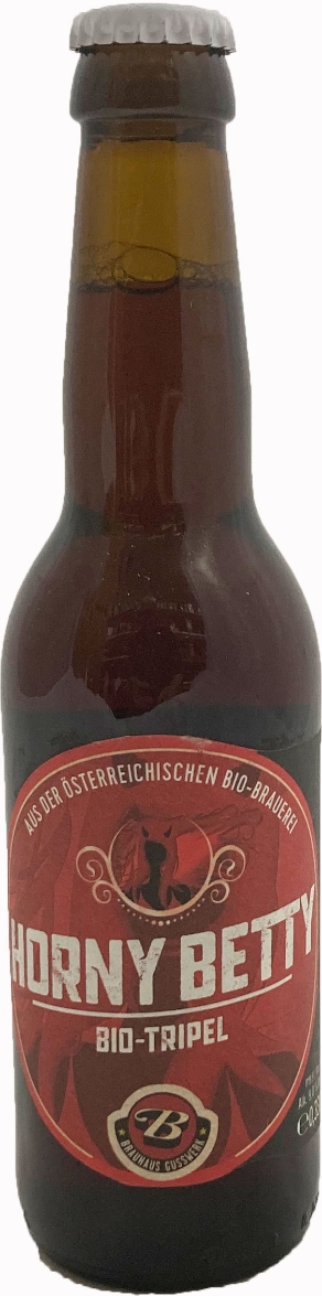 Brauhaus Gusswerk