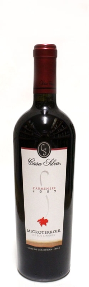 Viña Casa Silva San Fernando